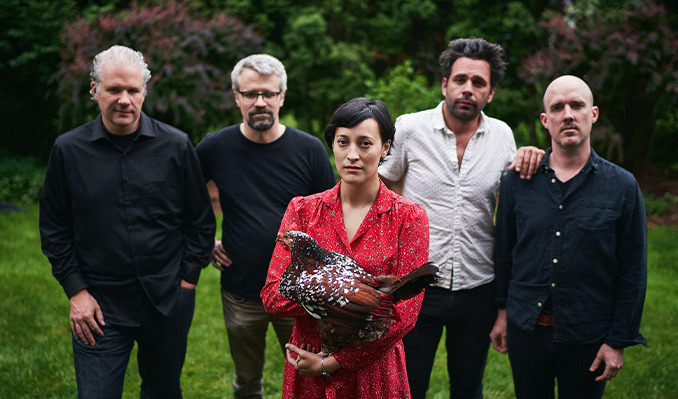 Collections of Colonies of Bees