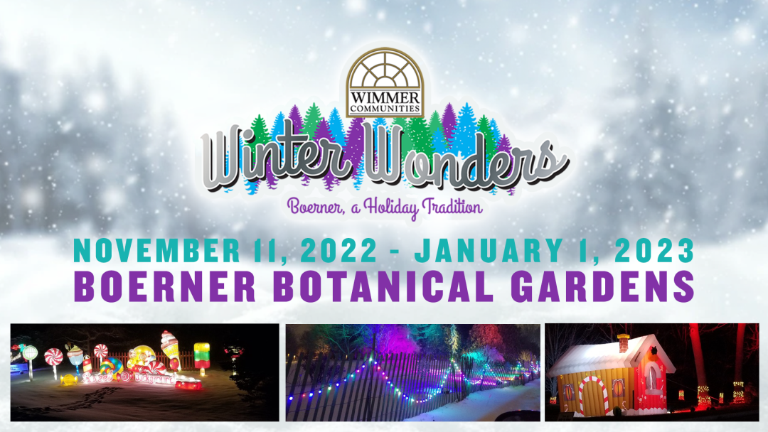 Winter Wonders