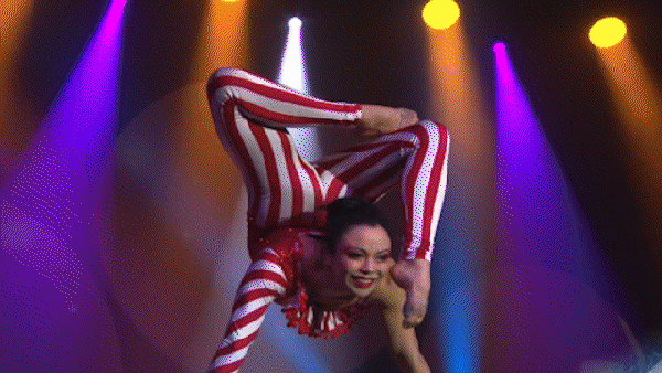 Holiday Dreams Cirque