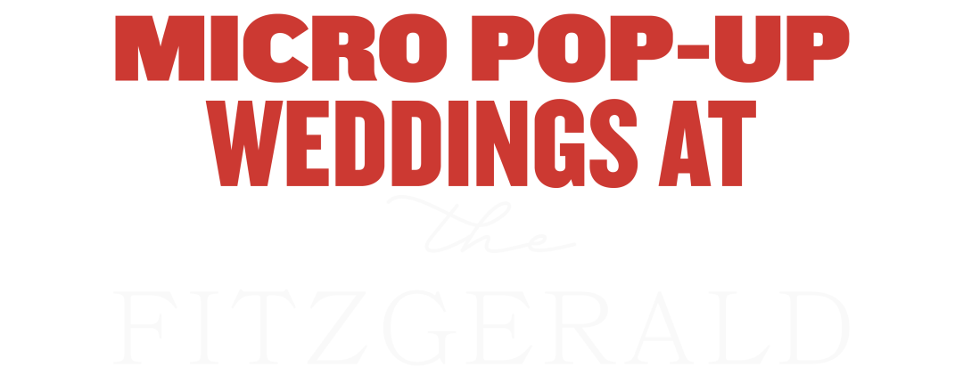 NEW SHOWS: Pete Davidson | Joe Jackson | Dopapod ★ WEDMKE | Deck The Hall Ball | Carpenters Christmas | Randy Rainbow This Week!