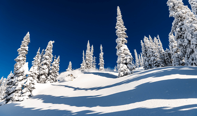 Warren Miller's: Daymaker