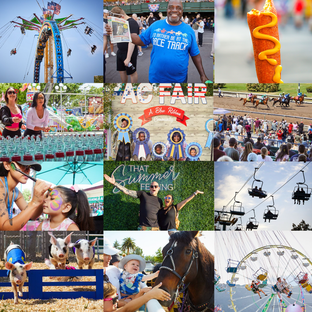 Pig Races, Fair Food, Carnival Rides, Competitions, Motor Shows, Entertainment