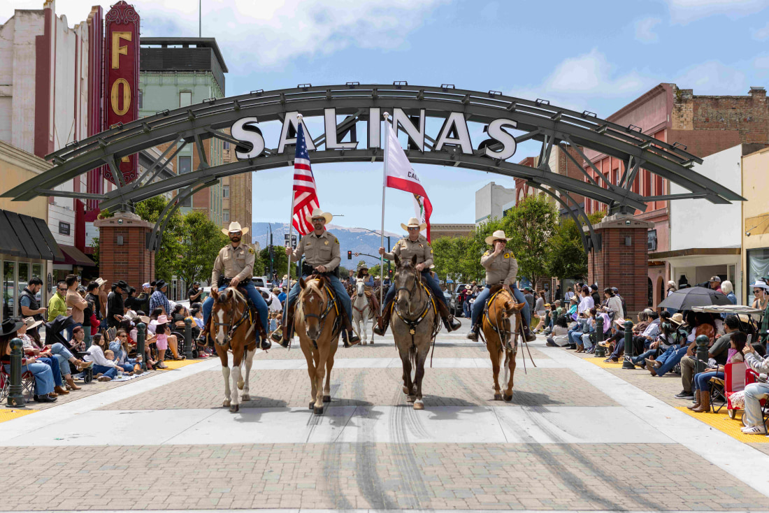 Rodeo Horse Parade image by Ronnie Esparza