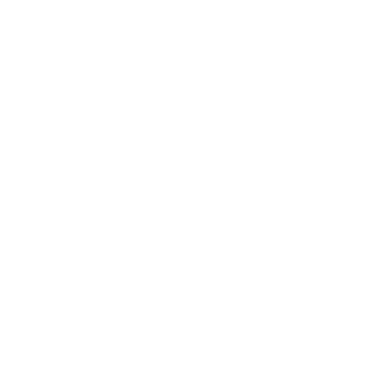 Tiktok icon