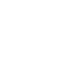 Spotify icon